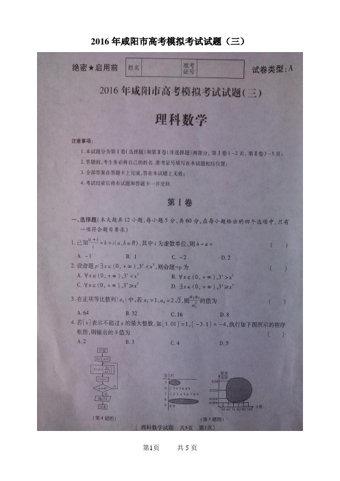 陕西省咸阳市2016年高考第三次模拟考试理科数学试题及答案