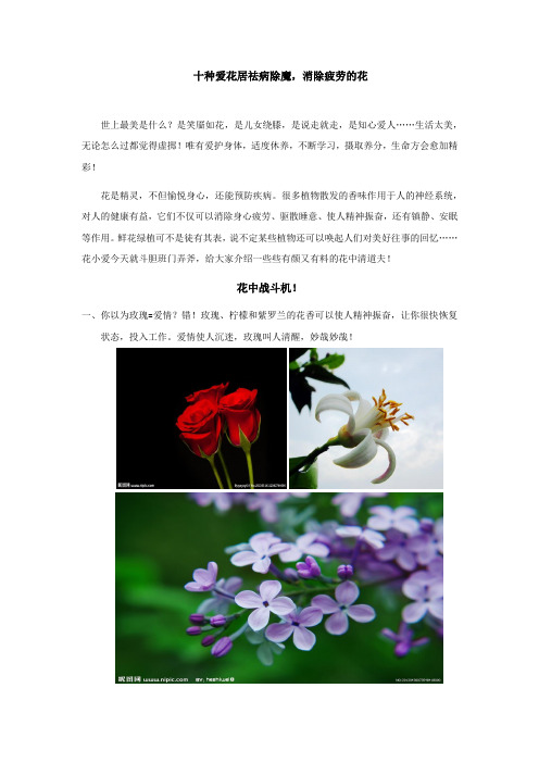 十种祛病除魔,有益身心的花