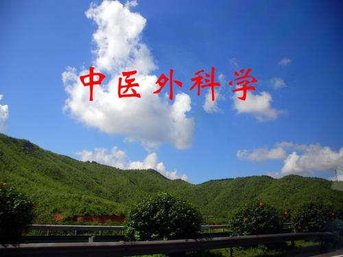 中医外科学发展范围术语ppt医学课件