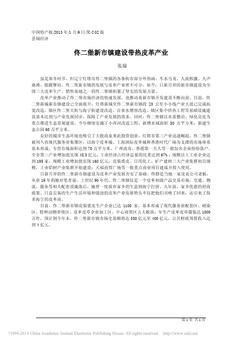 佟二堡新市镇建设带热皮革产业_张瑜;