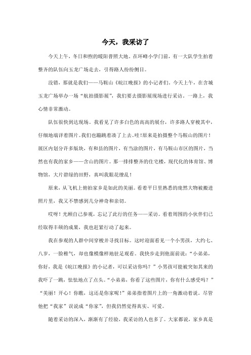 今天,我采访了_小学六年级作文700字