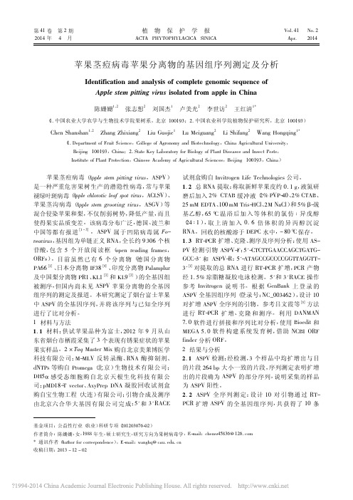 苹果茎痘病毒苹果分离物的基因组序列测定及分析
