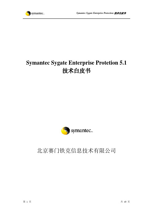 Symantec SEP5.1技术白皮书
