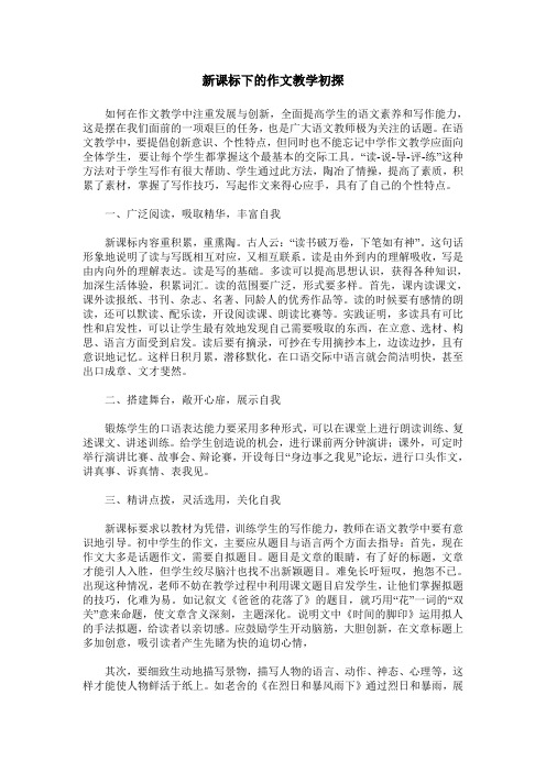 新课标下的作文教学初探