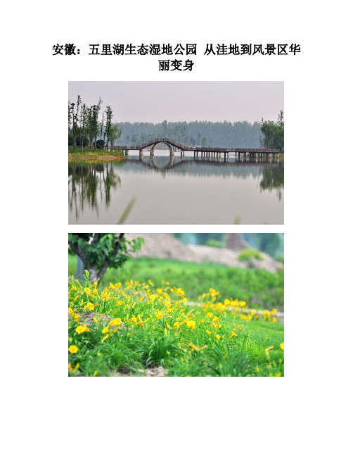 安徽湿地资料