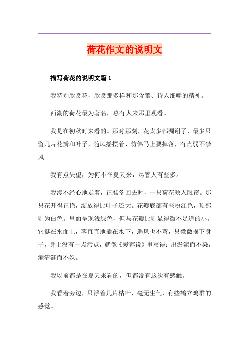 荷花作文的说明文