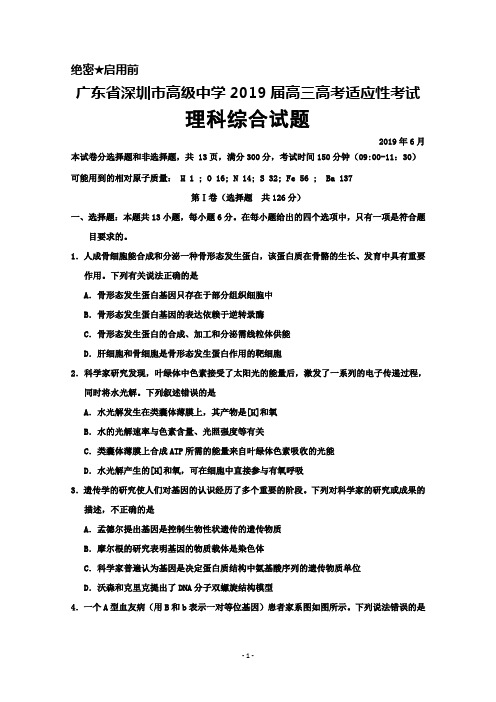 2019年6月广东省深圳市高级中学高三高考适应性考试理科综合试题及答案