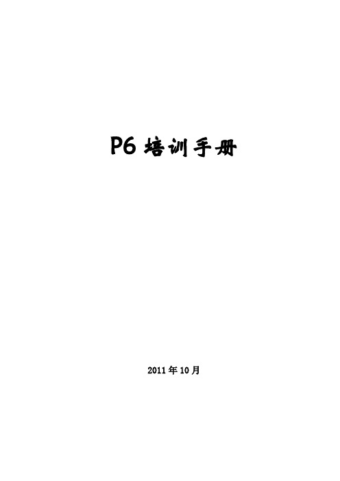 Primavera 6.0使用手册