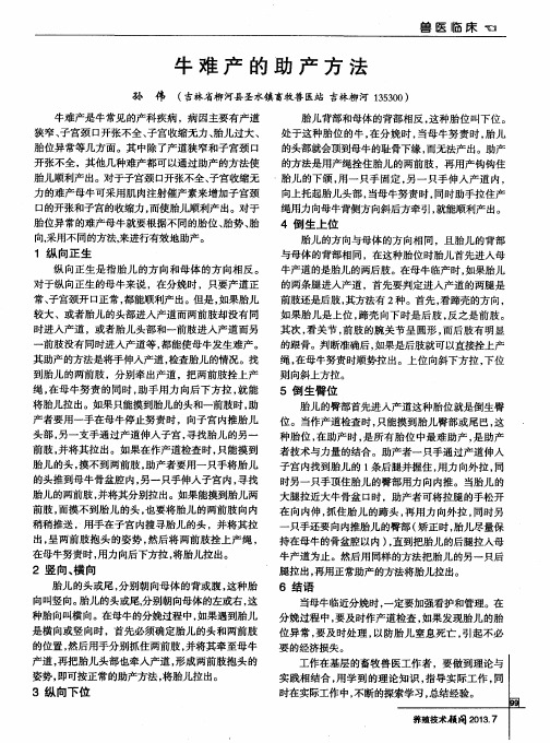 牛难产的助产方法