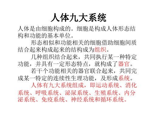 人体的消化、呼吸、循环、泌尿系统(高中补充资料).