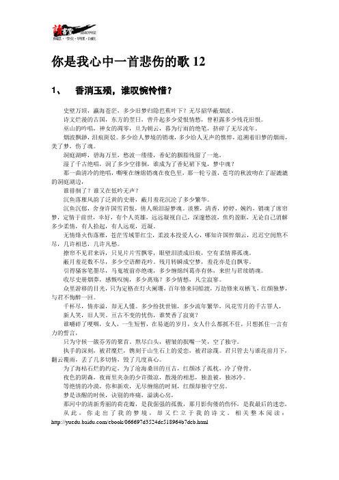 【关于悲伤】你是我心中一首悲伤的歌12