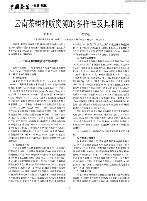 云南茶树种质资源的多样性及其利用