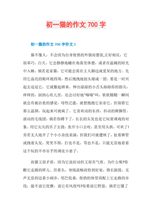 初一猫的作文700字