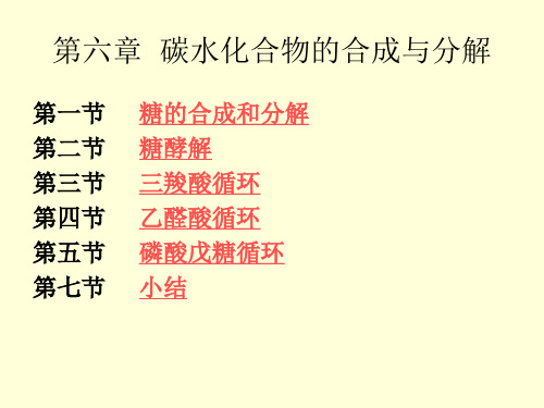 生物化学第八章碳水化合物的合成与分解