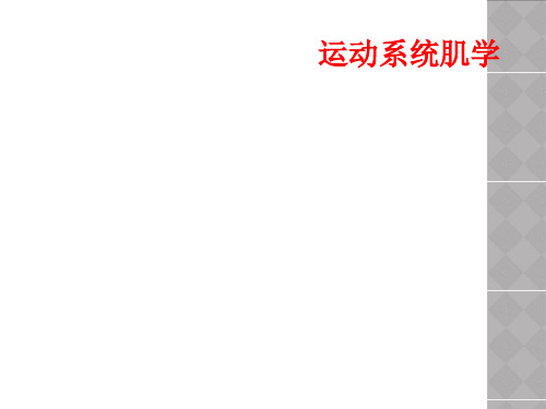 运动系统肌学