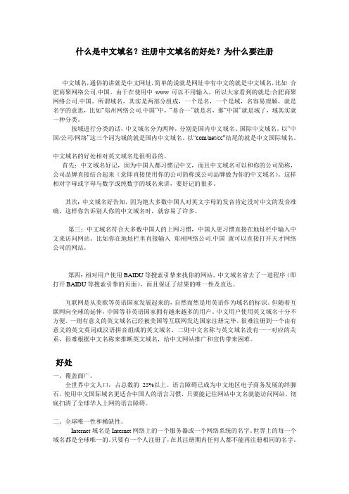 中文域名  特点