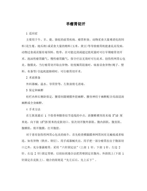 羊瘤胃切开
