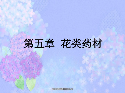 第五章  花类药材1
