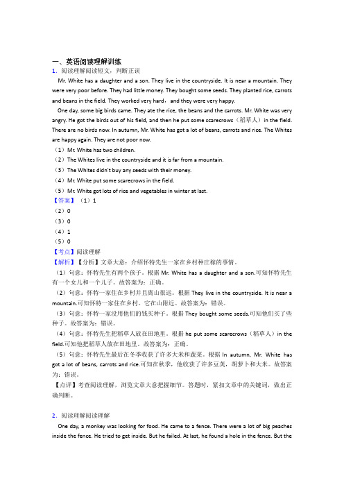六年级小学英语专题复习 阅读理解(附答案)50