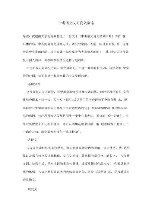 中考语文复习高效策略.doc