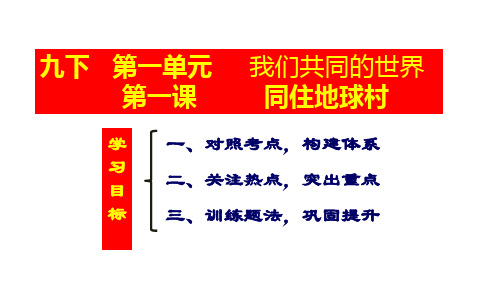 道德与法治《同住地球村》ppt精美版1