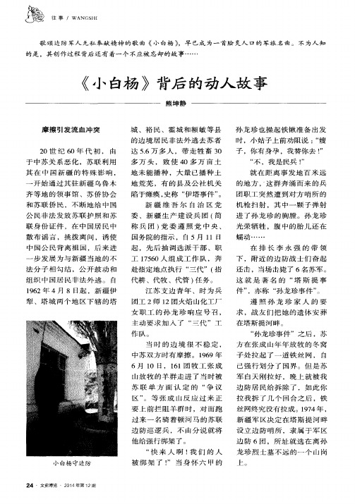 《小白杨》背后的动人故事