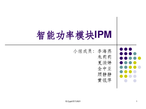 智能功率模块IPMPPT课件