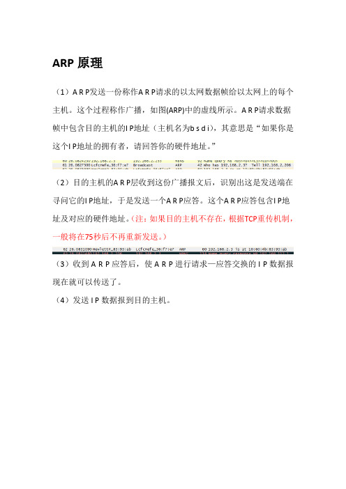 ARP协议学习