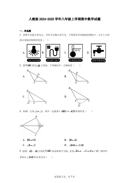 人教版2024-2025学年八年级上学期期中数学试题