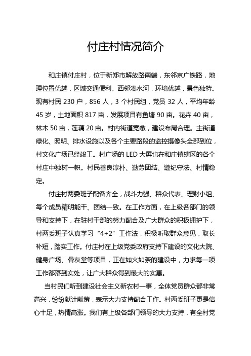付庄村情况简介