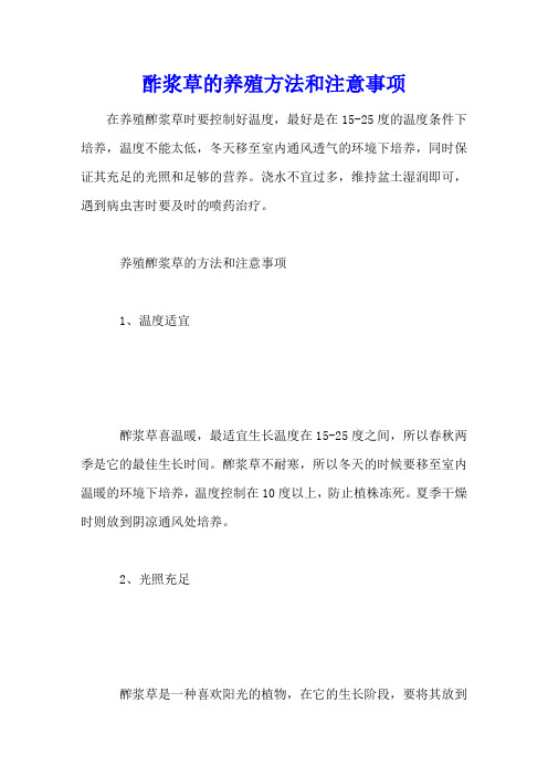 酢浆草的养殖方法和注意事项