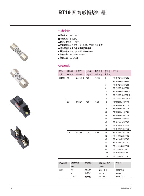 德力西电气RT19