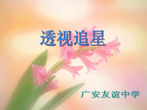 教科版思想品德八年级上册第七课追星课件