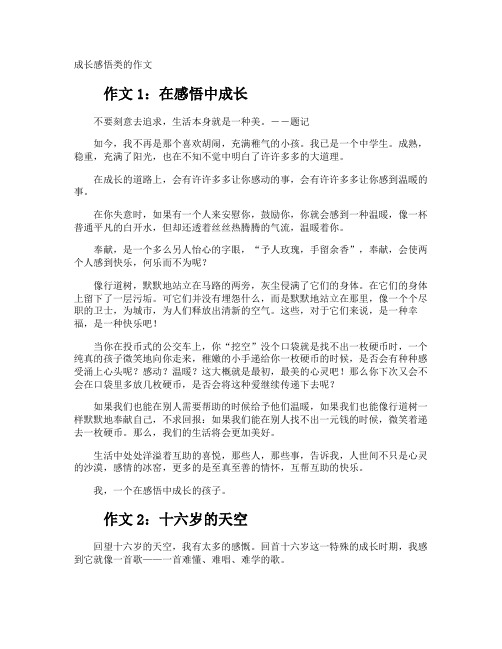 成长感悟类的作文