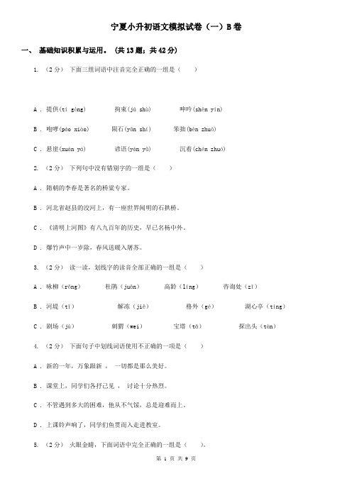 宁夏小升初语文模拟试卷(一)B卷