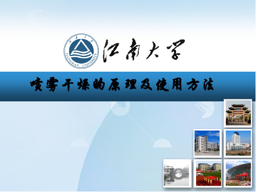 喷雾干燥