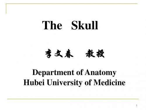 《系统解剖学》教学资料 the   skull颅骨-精选文档