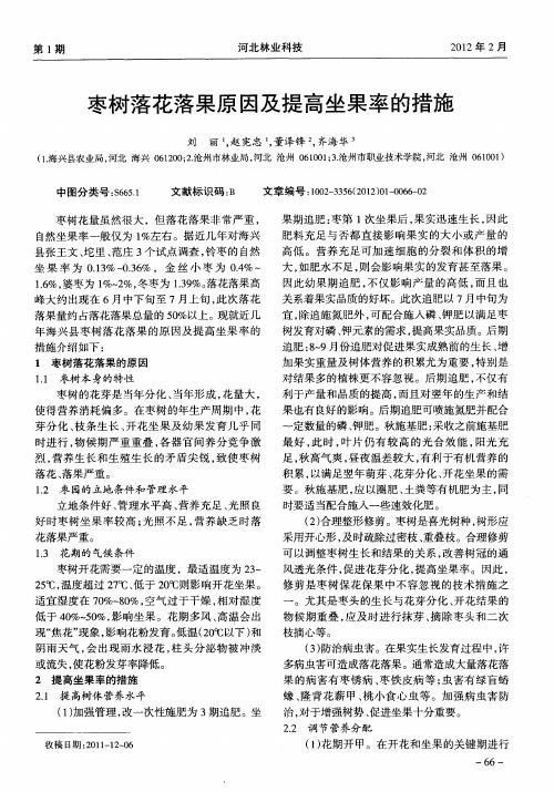 枣树落花落果原因及提高坐果率的措施