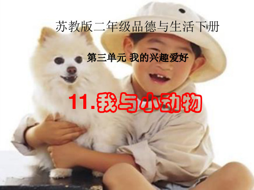 苏教版品生二下《我与小动物》精选课件PPT