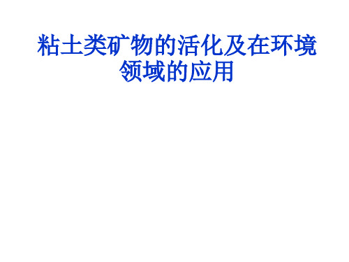 粘土类矿物的活化及在环境领域的应用