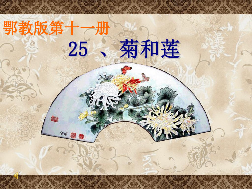 菊和莲