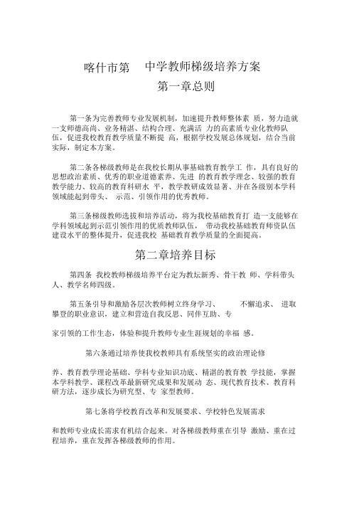 中学教师梯级培养方案