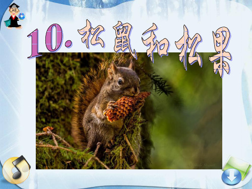 《松鼠和松果》鲁教版一年级语文下册教材课件PPT(3篇)