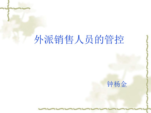 外派人员的管理控制(ppt文档)