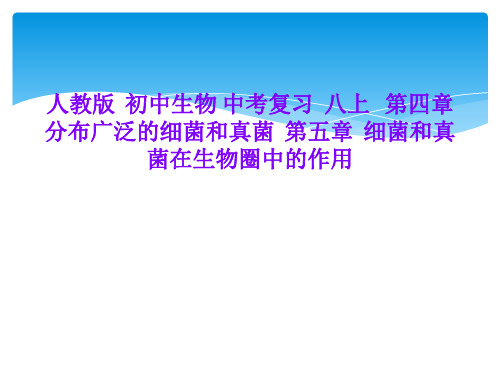 人教版  初中生物 中考复习  八上   第四章  分布广泛的细菌和真菌  第五章  细菌和真菌在生