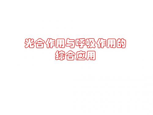 第9讲  光合作用与呼吸作用应用