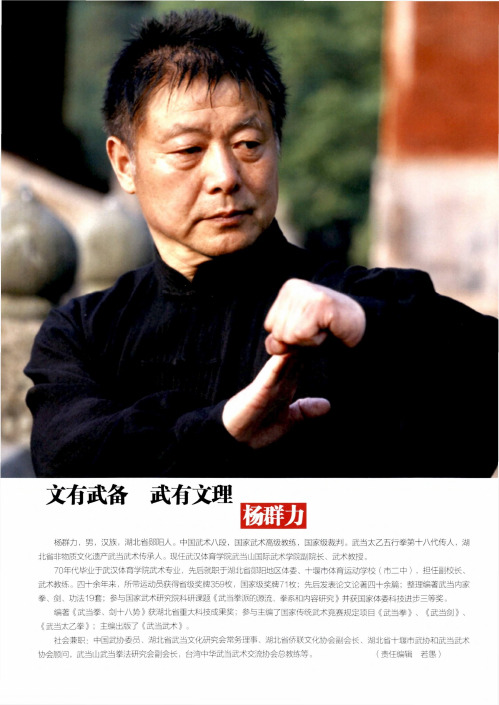 文有武备武有文理——杨群力
