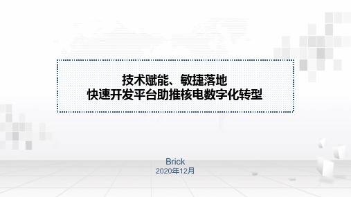 技术赋能、敏捷落地,快速开发平台助推核电数字化转型