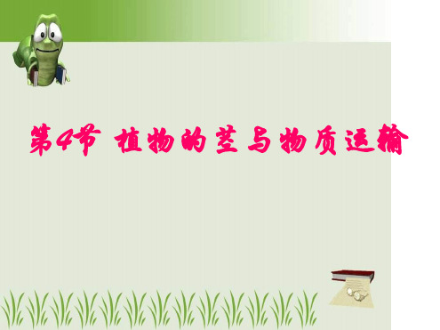 八年级下册科学课件 44植物的茎与物质运输课件2浙教版
