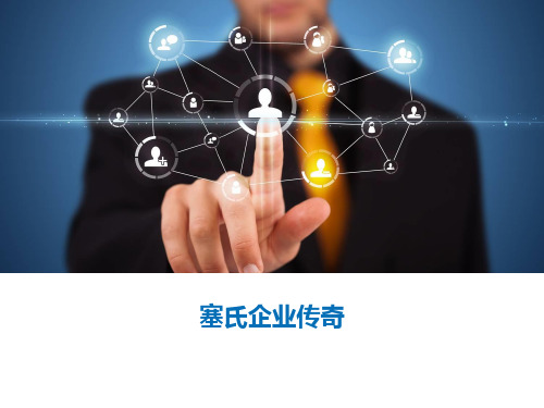 塞氏企业